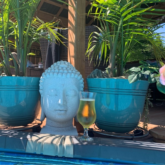 Meet your Posher, Tara - Picture 6 of 8